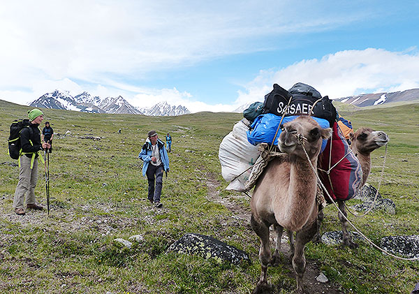 Altai Gebirge