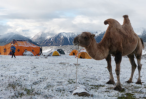 Potanin Gletscher, Zentralasien